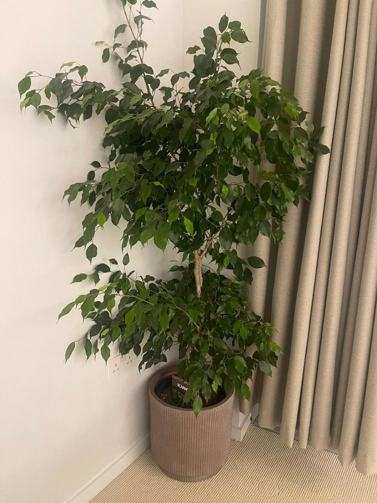 Luxury 1 Bedroom Apartment In 런던 외부 사진